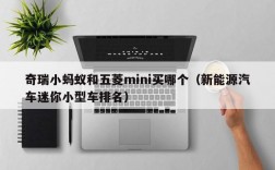 奇瑞小蚂蚁和五菱mini买哪个（新能源汽车迷你小型车排名）