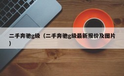 二手奔驰g级（二手奔驰g级最新报价及图片）