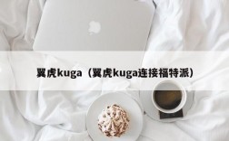 翼虎kuga（翼虎kuga连接福特派）