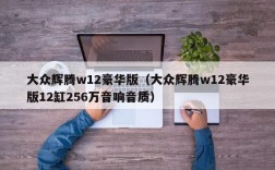 大众辉腾w12豪华版（大众辉腾w12豪华版12缸256万音响音质）