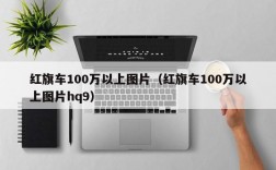 红旗车100万以上图片（红旗车100万以上图片hq9）