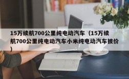 15万续航700公里纯电动汽车（15万续航700公里纯电动汽车小米纯电动汽车披价）