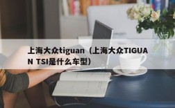 上海大众tiguan（上海大众TIGUAN TSI是什么车型）