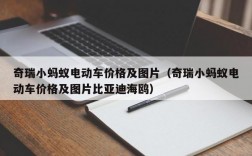 奇瑞小蚂蚁电动车价格及图片（奇瑞小蚂蚁电动车价格及图片比亚迪海鸥）