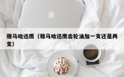 雅马哈迅鹰（雅马哈迅鹰齿轮油加一支还是两支）