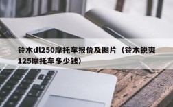 铃木dl250摩托车报价及图片（铃木锐爽125摩托车多少钱）