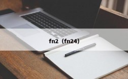 fn2（fn24）