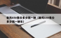 春风650售价多少钱一辆（春风650售价多少钱一辆车）