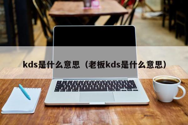 kds是什么意思（老板kds是什么意思）-图1