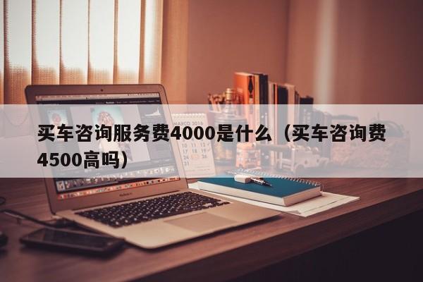 买车咨询服务费4000是什么（买车咨询费4500高吗）-图1