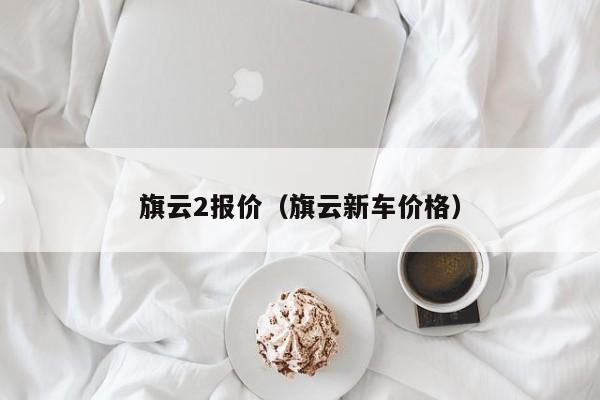 旗云2报价（旗云新车价格）-图1