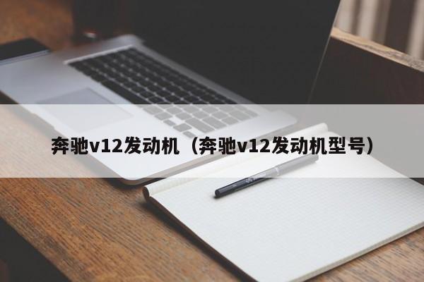 奔驰v12发动机（奔驰v12发动机型号）-图1