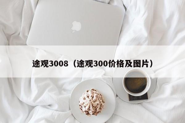 途观3008（途观300价格及图片）-图1