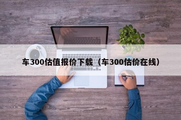 车300估值报价下载（车300估价在线）-图1