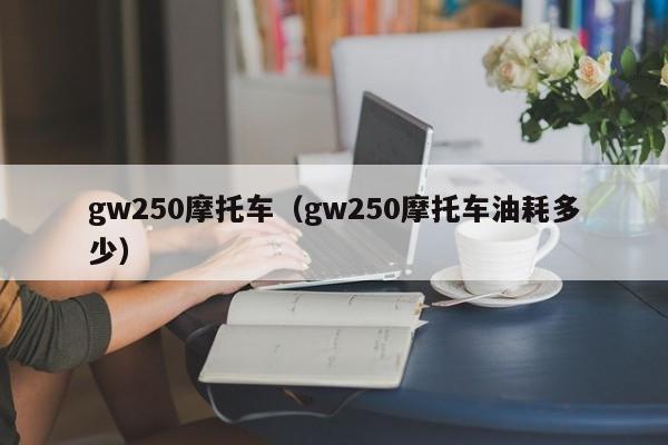 gw250摩托车（gw250摩托车油耗多少）-图1