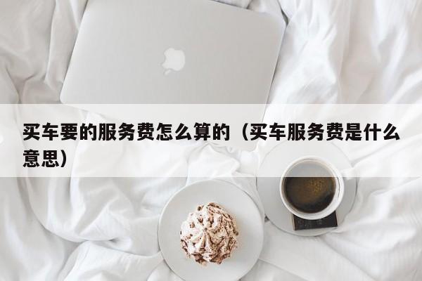 买车要的服务费怎么算的（买车服务费是什么意思）-图1