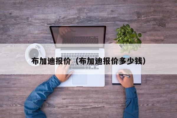 布加迪报价（布加迪报价多少钱）-图1