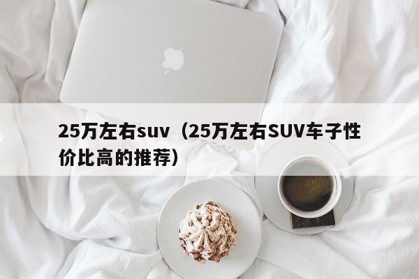 25万左右suv（25万左右SUV车子性价比高的推荐）-图1