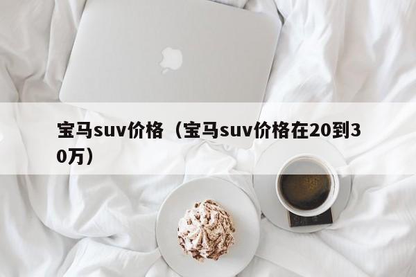 宝马suv价格（宝马suv价格在20到30万）-图1