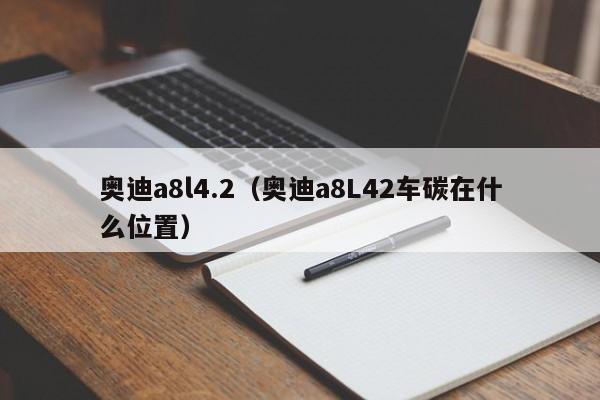 奥迪a8l4.2（奥迪a8L42车碳在什么位置）-图1