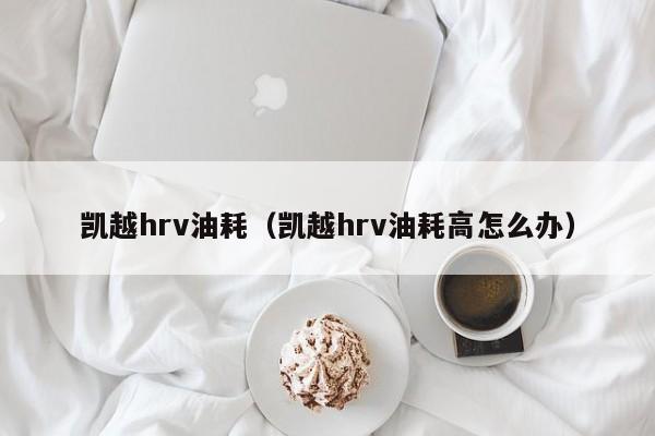 凯越hrv油耗（凯越hrv油耗高怎么办）-图1