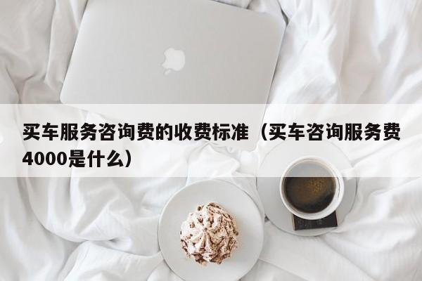 买车服务咨询费的收费标准（买车咨询服务费4000是什么）-图1