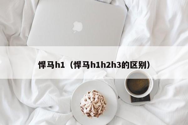 悍马h1（悍马h1h2h3的区别）-图1