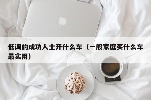 低调的成功人士开什么车（一般家庭买什么车最实用）-图1