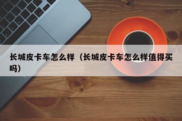 长城皮卡车怎么样（长城皮卡车怎么样值得买吗）-图1