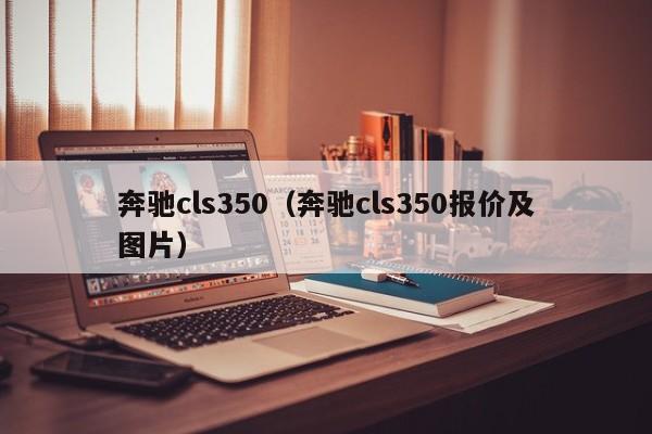 奔驰cls350（奔驰cls350报价及图片）-图1