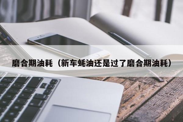 磨合期油耗（新车蚝油还是过了磨合期油耗）-图1