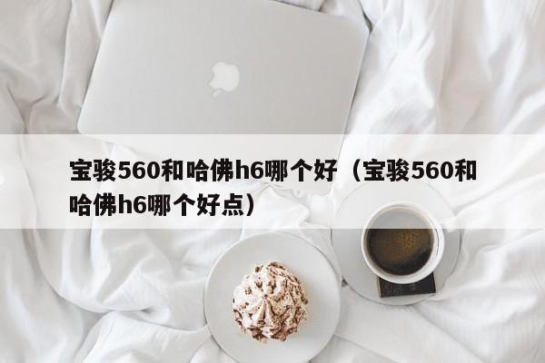 宝骏560和哈佛h6哪个好（宝骏560和哈佛h6哪个好点）-图1