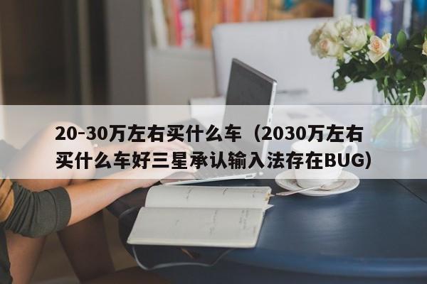 20-30万左右买什么车（2030万左右买什么车好三星承认输入法存在BUG）-图1