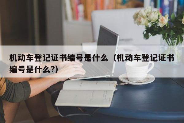 机动车登记证书编号是什么（机动车登记证书编号是什么?）-图1