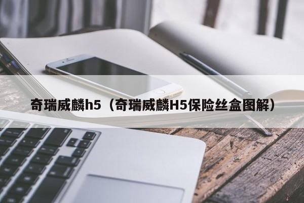 奇瑞威麟h5（奇瑞威麟H5保险丝盒图解）-图1