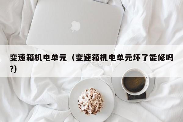 变速箱机电单元（变速箱机电单元坏了能修吗?）-图1