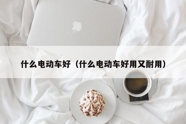 什么电动车好（什么电动车好用又耐用）-图1