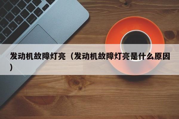 发动机故障灯亮（发动机故障灯亮是什么原因）-图1