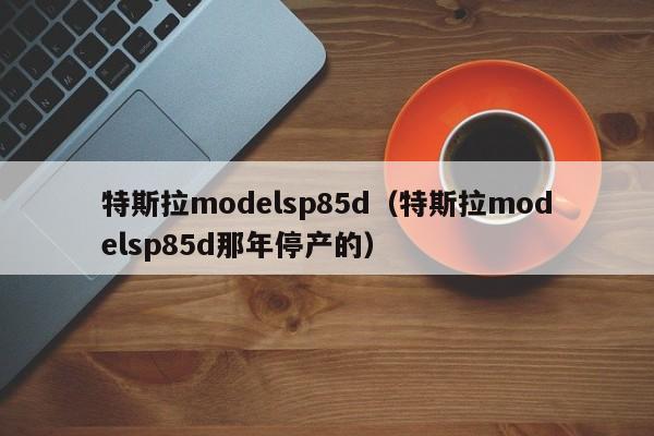 特斯拉modelsp85d（特斯拉modelsp85d那年停产的）-图1