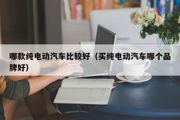 哪款纯电动汽车比较好（买纯电动汽车哪个品牌好）-图1