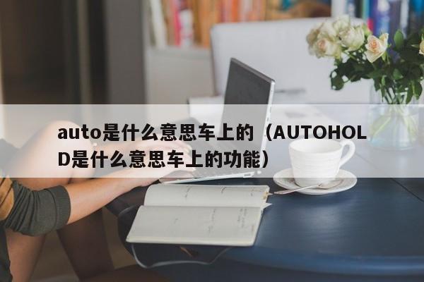 auto是什么意思车上的（AUTOHOLD是什么意思车上的功能）-图1