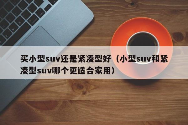 买小型suv还是紧凑型好（小型suv和紧凑型suv哪个更适合家用）-图1