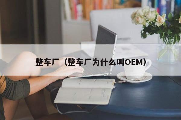 整车厂（整车厂为什么叫OEM）-图1