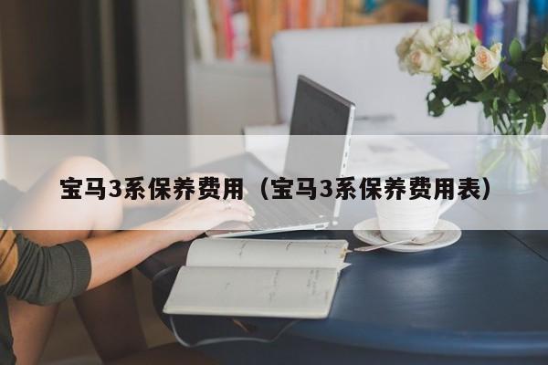 宝马3系保养费用（宝马3系保养费用表）-图1