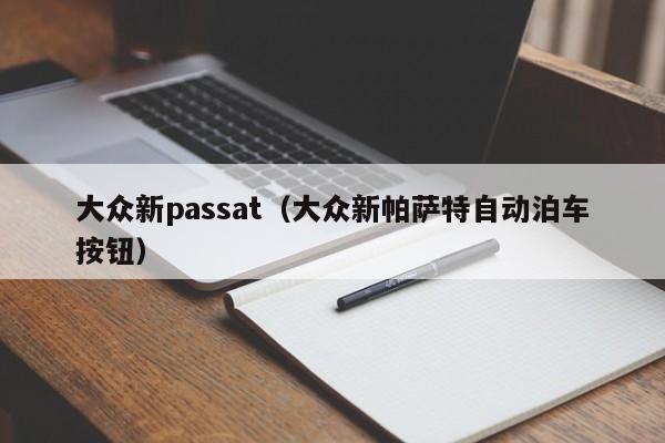 大众新passat（大众新帕萨特自动泊车按钮）-图1