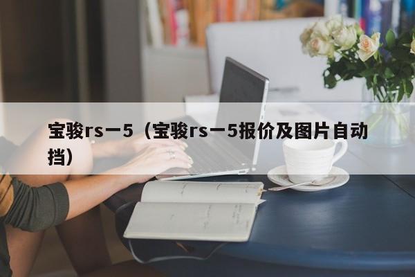 宝骏rs一5（宝骏rs一5报价及图片自动挡）-图1