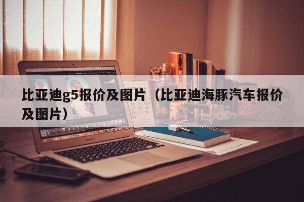 比亚迪g5报价及图片（比亚迪海豚汽车报价及图片）-图1