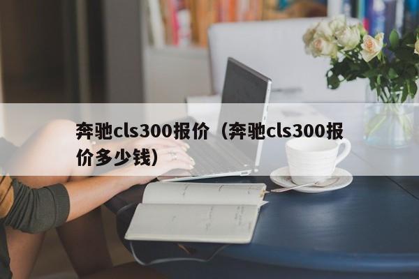 奔驰cls300报价（奔驰cls300报价多少钱）-图1