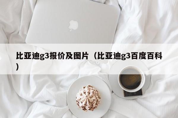 比亚迪g3报价及图片（比亚迪g3百度百科）-图1