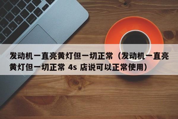 发动机一直亮黄灯但一切正常（发动机一直亮黄灯但一切正常 4s 店说可以正常使用）-图1